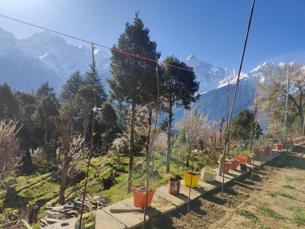Silk Route Home Stay Kalpa Exteriör bild