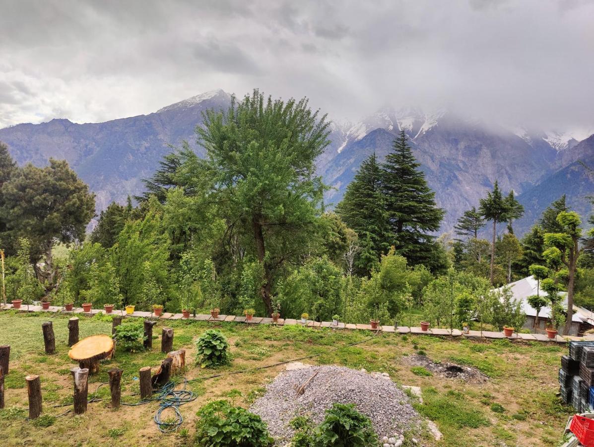 Silk Route Home Stay Kalpa Exteriör bild
